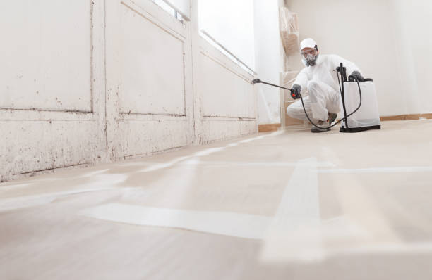 24/7 Emergency Attic Mold Remediation experts in Danville, KY