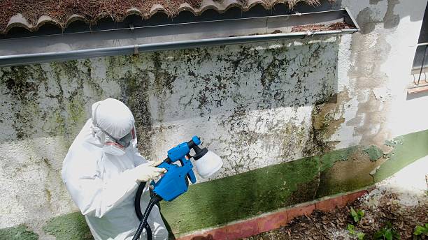 Top rated local Attic Mold Remediation specialists in Danville, KY